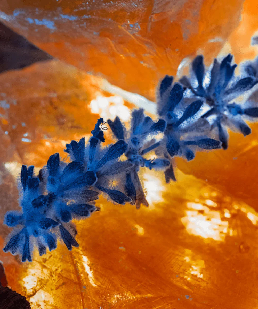 Image of Ambre Millénaire 100ml Extrait de Parfum-3