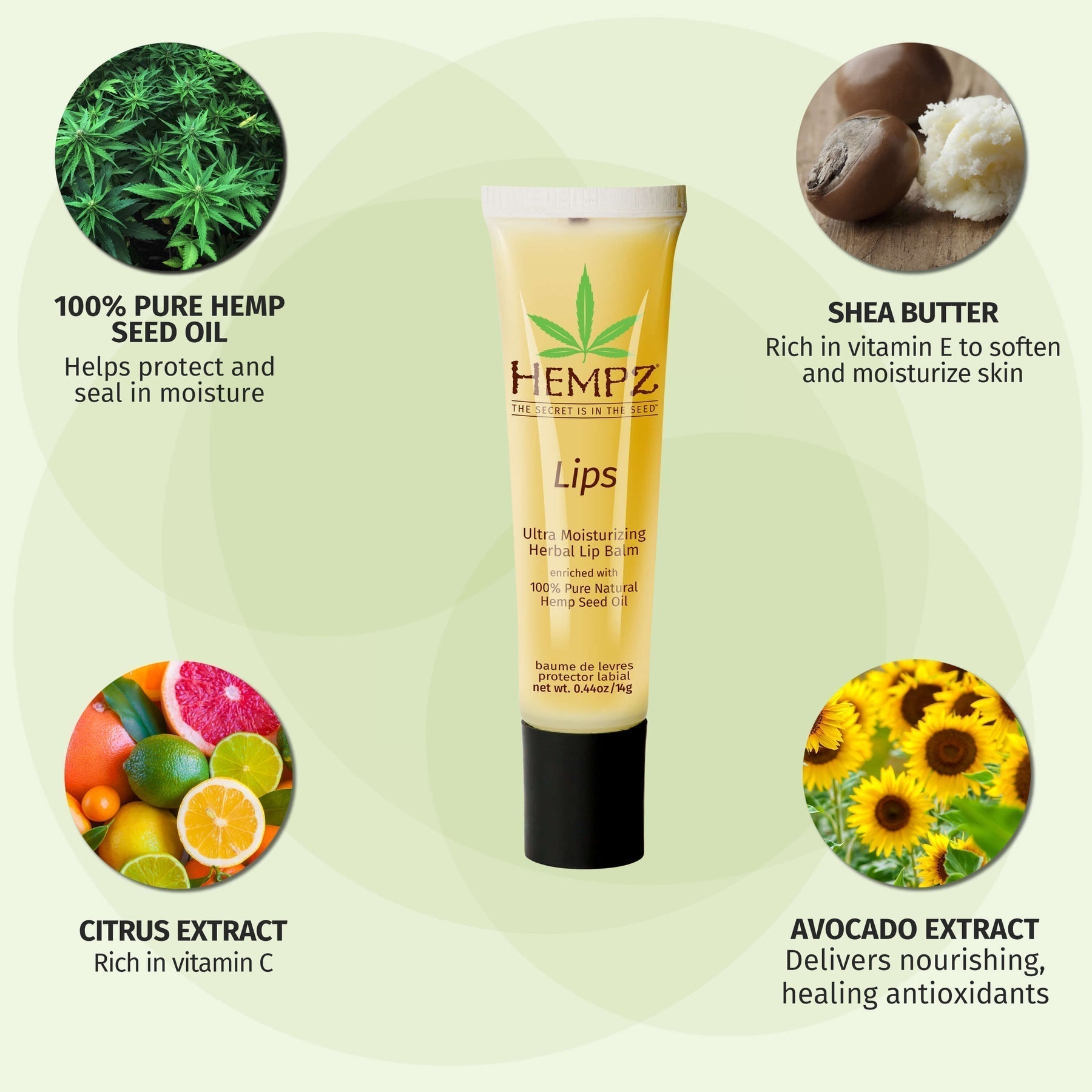 Image of Hempz Daily Herbal Lip Balm-3