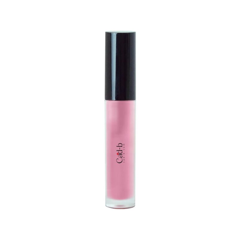 Image of Lip Gloss - Pinky LG02 | Vegan, Paraben Free, Shimmer & Natural Finish