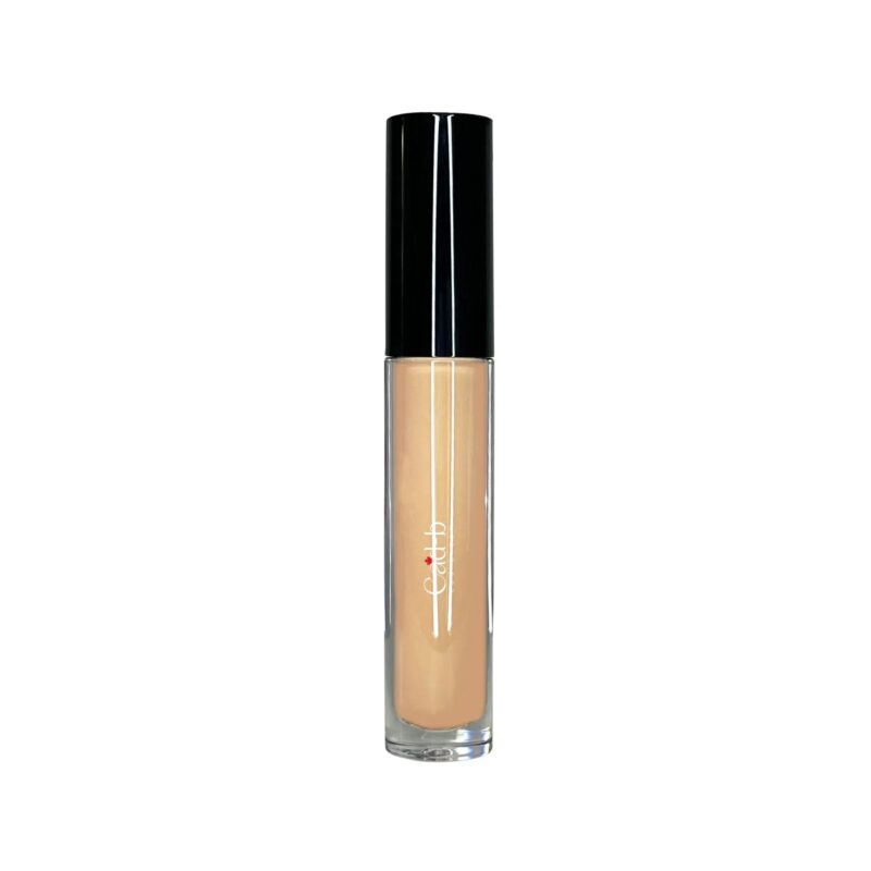 Image of Concealing Cream Biscuit HC110T