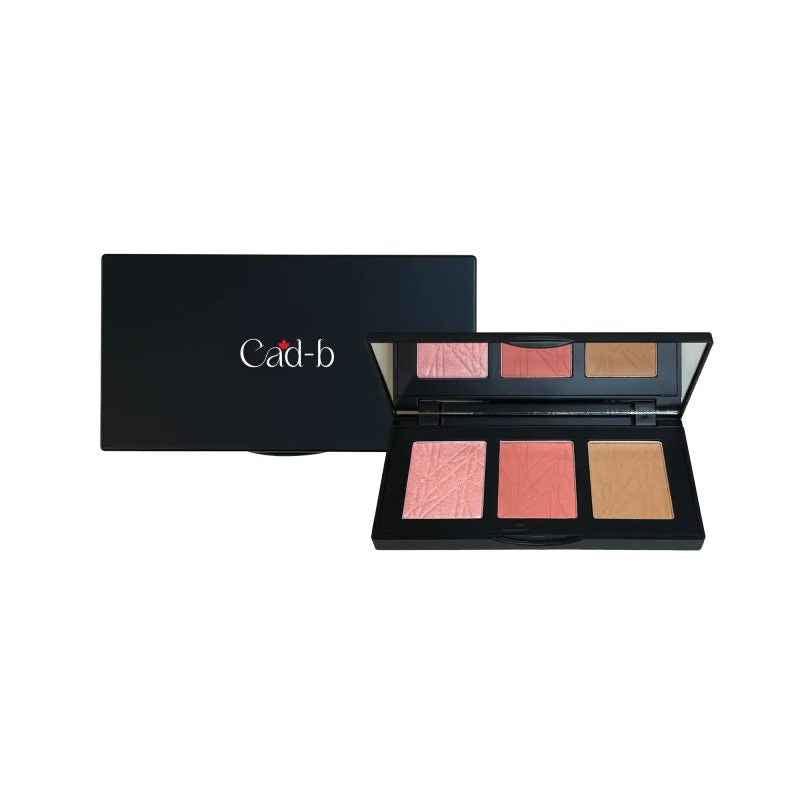 Image of Pro Cheek Palette – Matte & Shimmer Blush, Contour & Highlight – Blushy – PCP51 | Vegan & Cruelty-Free
