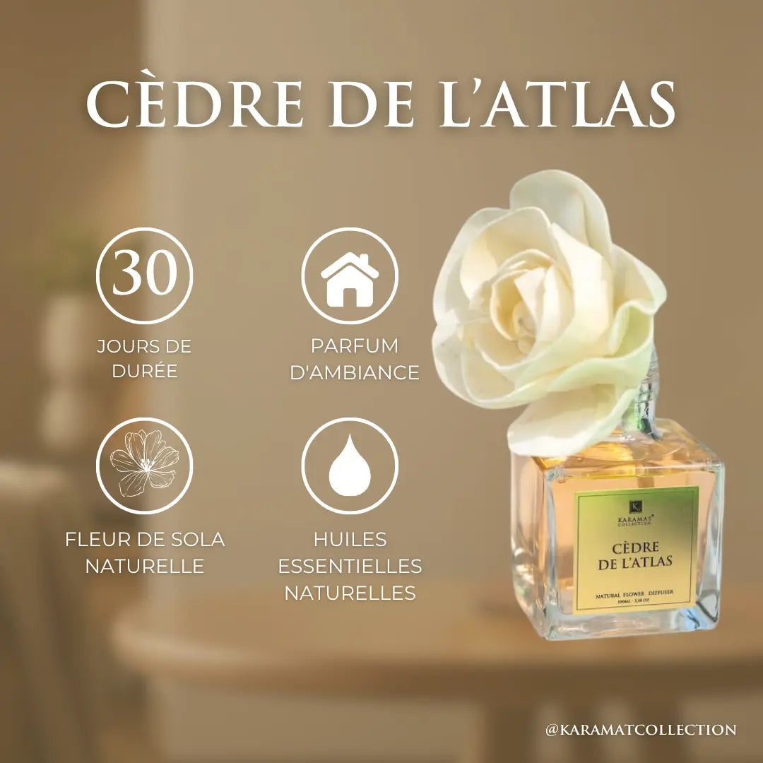 Image of DIFFUSEUR À FLEURS 100ml – CÈDRE DE L’ATLAS-2