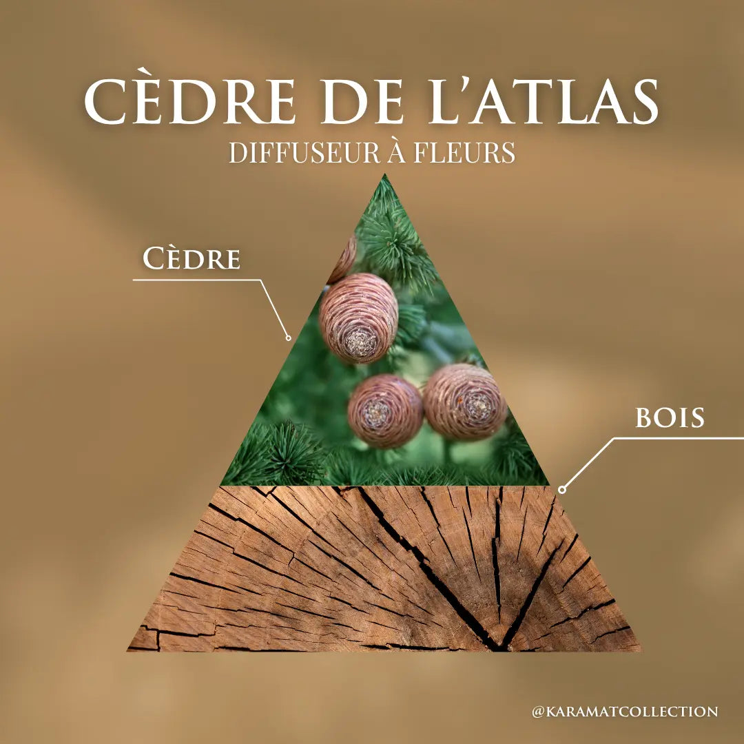 Image of DIFFUSEUR À FLEURS 100ml – CÈDRE DE L’ATLAS-4