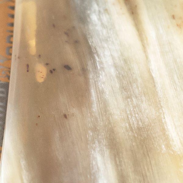 Image of Dovo Straight Razor, Horn Prima, 5/8