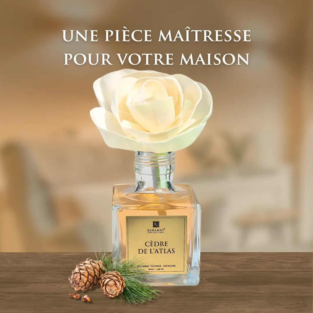 Image of DIFFUSEUR À FLEURS 100ml – CÈDRE DE L’ATLAS-1