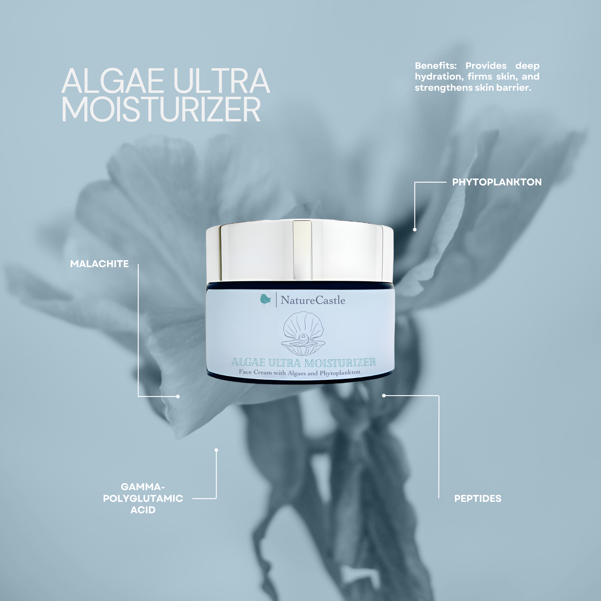 Image of Algae Ultra Moisturizer Key Ingredients