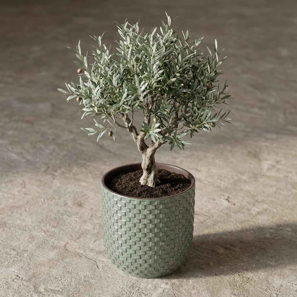 Image of Grüner Keramik Übertopf – D13,5cm – Salbeigrüner Blumentopf mit Reliefmuster – Dekorativer Pflanztopf für Zimmerpflanzen & Kräuter-2
