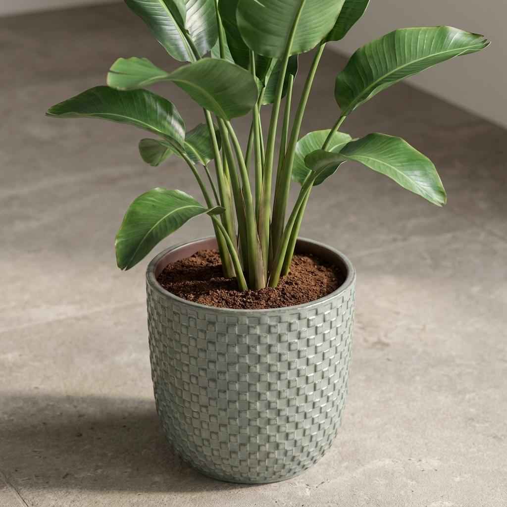 Image of Grüner Keramik Übertopf – D13,5cm – Salbeigrüner Blumentopf mit Reliefmuster – Dekorativer Pflanztopf für Zimmerpflanzen & Kräuter-3