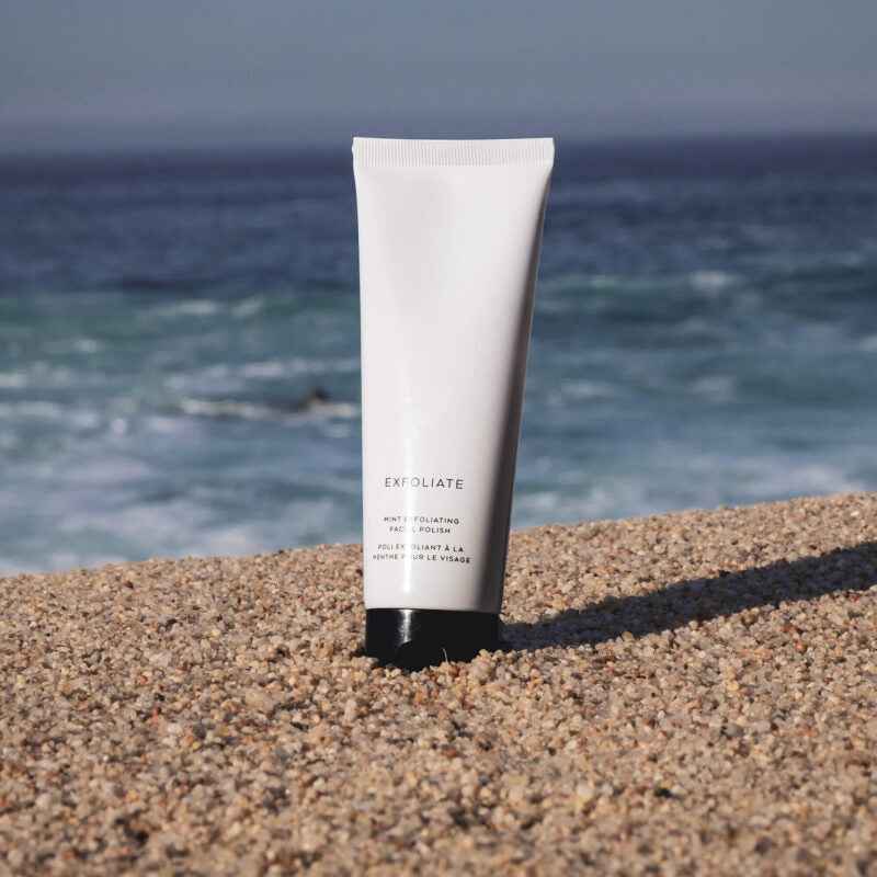Image of Mint Exfoliating Facial Polish - Gentle Exfoliating Face Scrub with Apricot Oil, Aloe & Green Tea | Vegan, Paraben-Free | CAD B | MEF