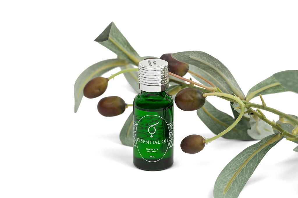 Image of Essential Oil , Rose Geranium, 20ml-0