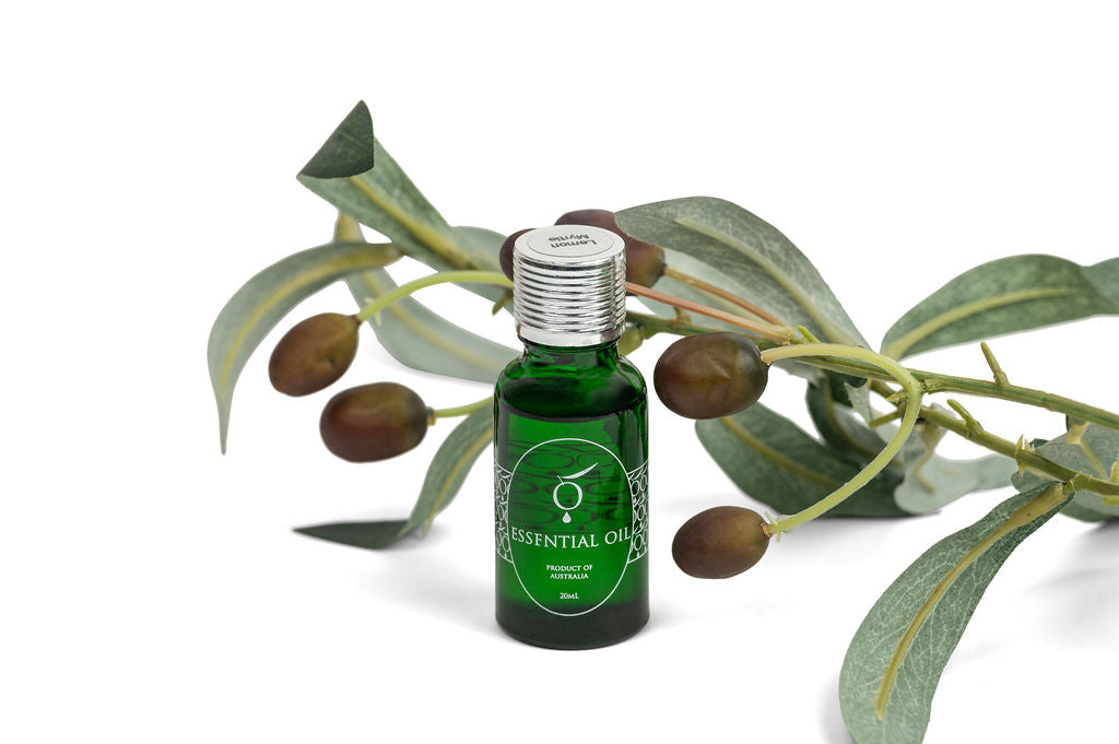 Image of Essential Oil, Lemon Myrtle , 20ml-0