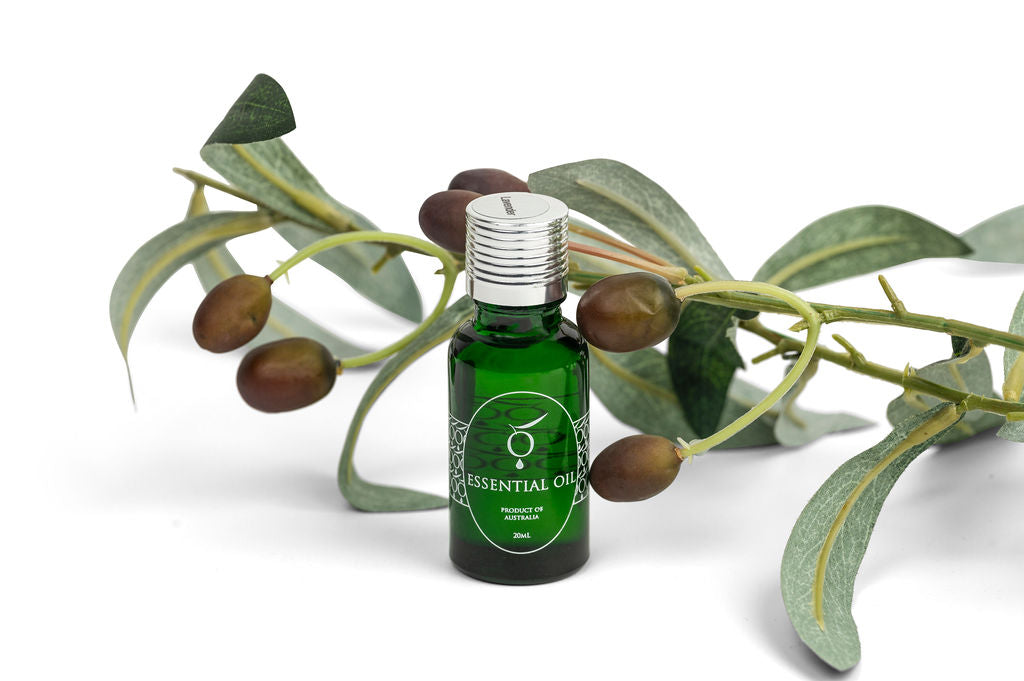 Image of Essential Oil, Lavender , 20ml-0