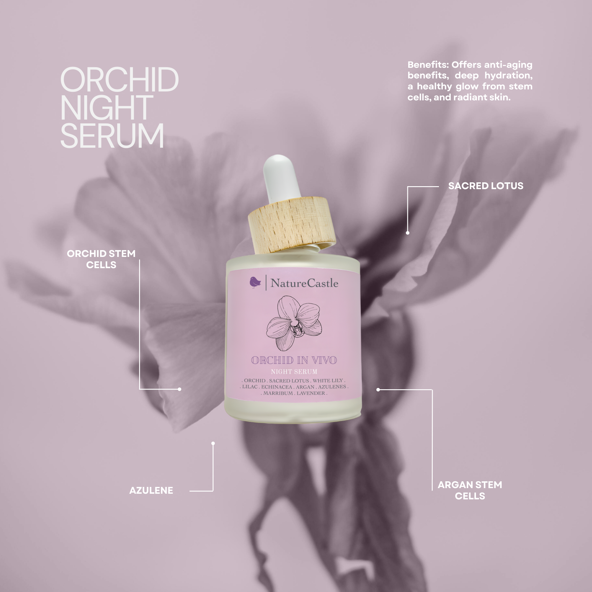 Image of Orchid Glow Serum Key Ingredients