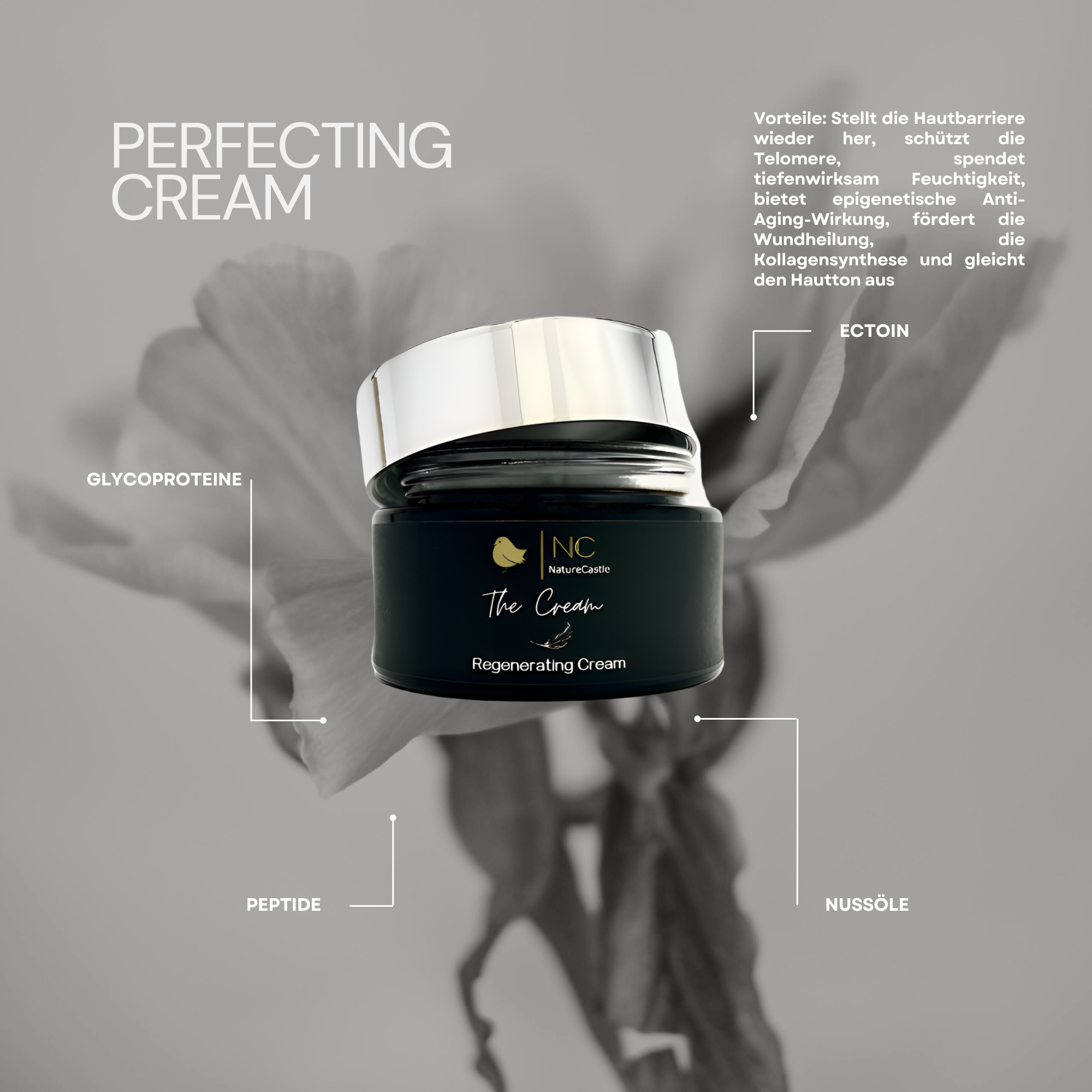 Image of Perfecting Cream Hauptzutaten