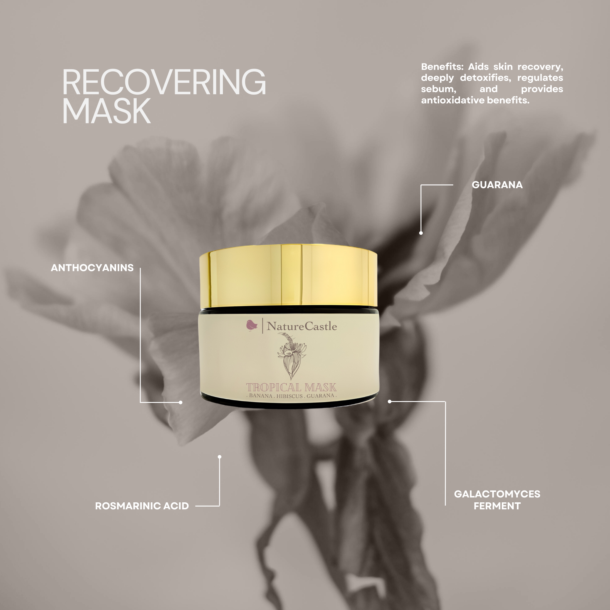 Image of Recovering Mask Key Ingredients