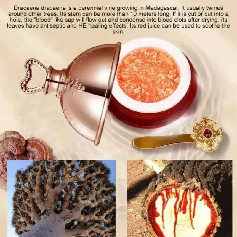 Image of Dragon's Blood Gesichtscreme Retinol Placenta Essence Brightening Lift Firming Skin Care Korean Cosmetics