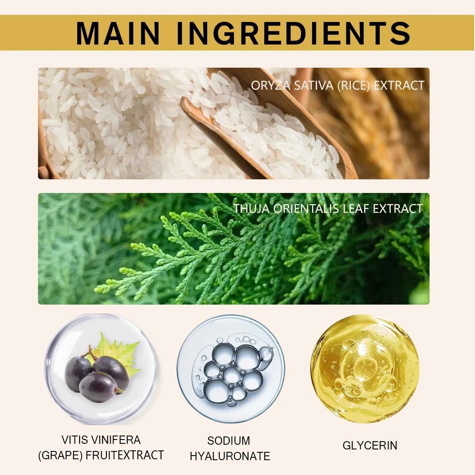 Image of Koreanische Rice Raw Pulp Feuchtigkeitscreme – spendet Feuchtigkeit, beseitigt den Hautton, reduziert feine Linien mit Reistextrakt und Hyaluronat, 50 g