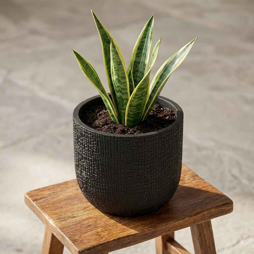 Image of Pflanztopf Capi Bol Skin Anthrazit – D14cm x H13cm – Moderner Blumentopf mit Hautstruktur – Für Innen & Außen – Leicht & robust – Zeitloses Design-2