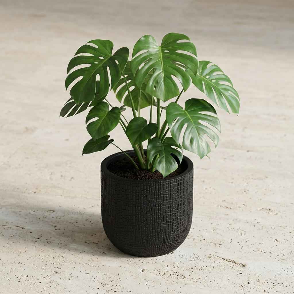 Image of Pflanztopf Capi Bol Skin Anthrazit – D14cm x H13cm – Moderner Blumentopf mit Hautstruktur – Für Innen & Außen – Leicht & robust – Zeitloses Design-1
