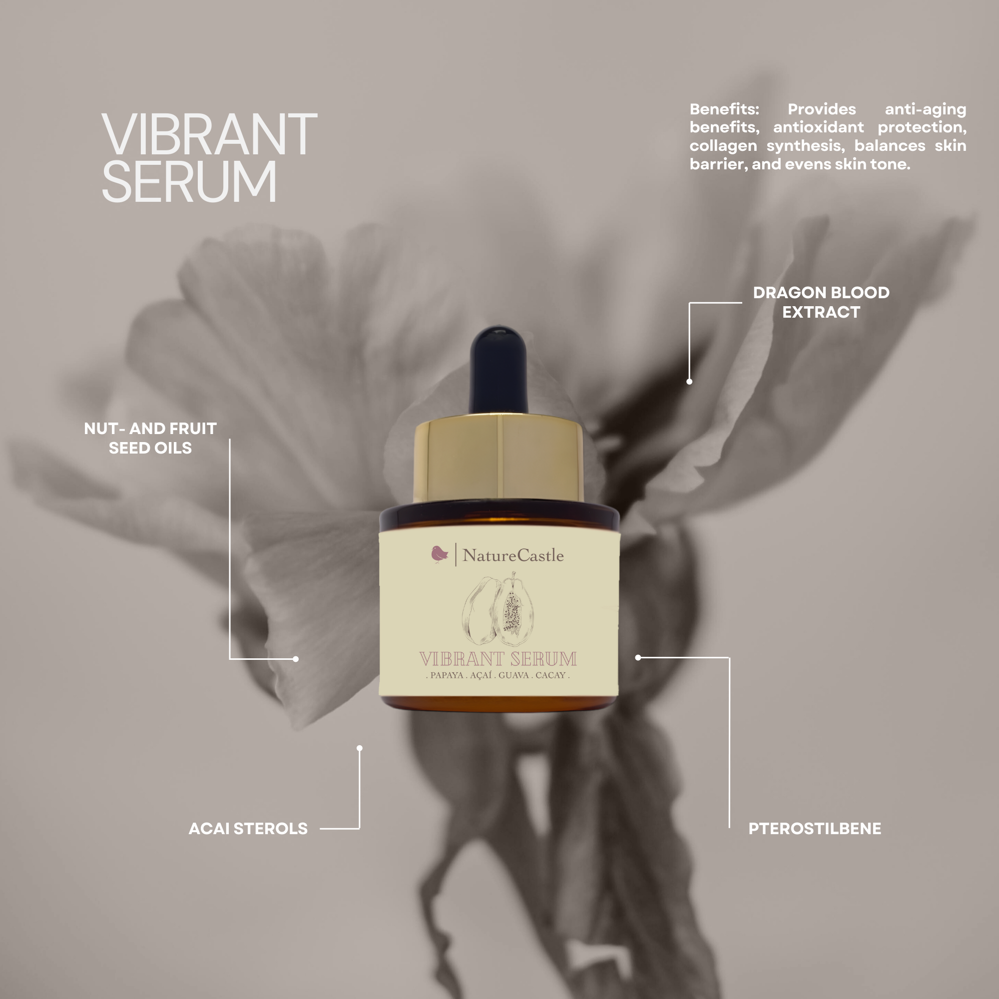 Image of Vibrant Serum Key Ingredients