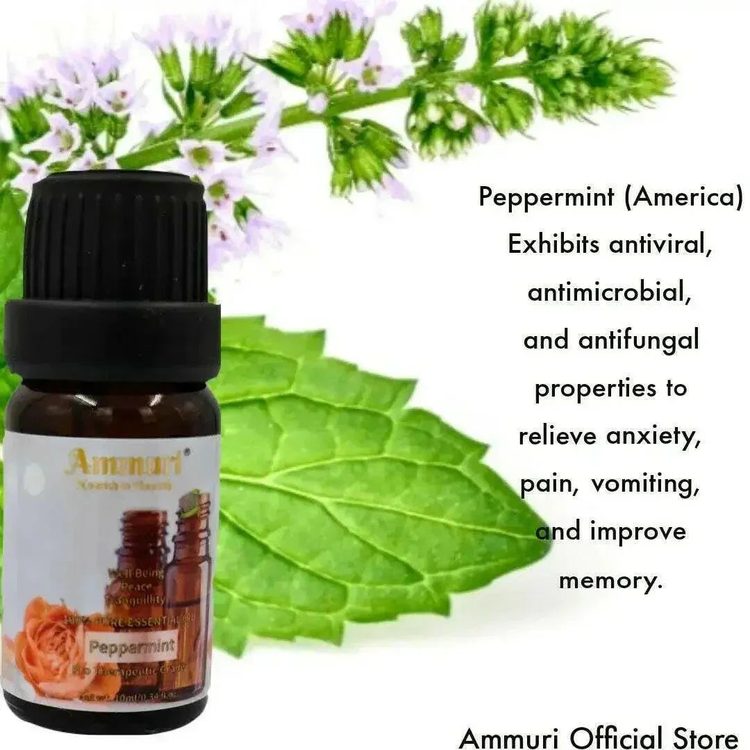 Image of Ammuri Skincare Essential Oils Gift Set - Aromatherapy Collection-4