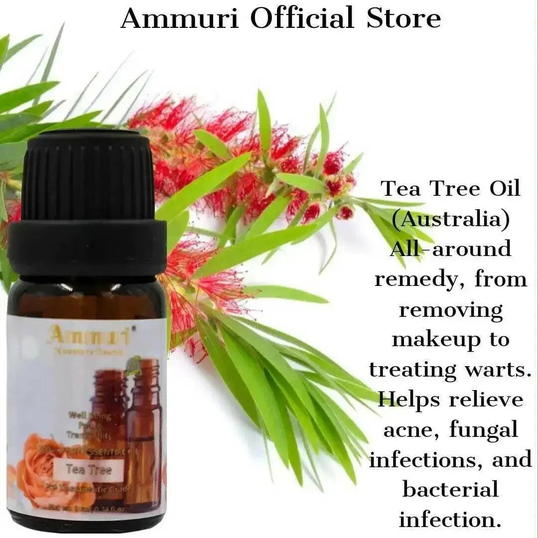 Image of Ammuri Skincare Essential Oils Gift Set - Aromatherapy Collection-3