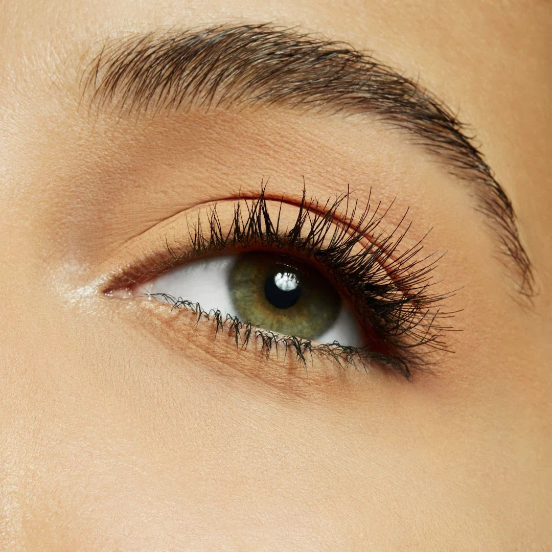 Image of Eyeshadow Compact-3