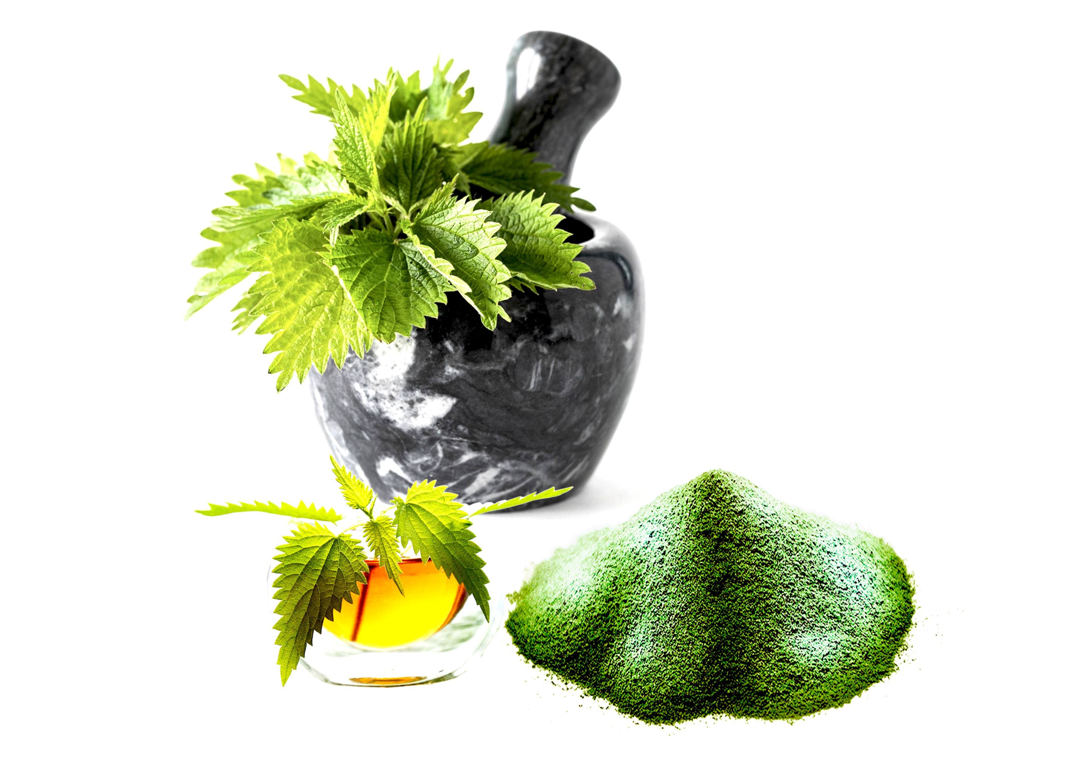 Image of DROP - THE INCREDIBLE ORGANIC NETTLE 2000mg - Food Supplement-1