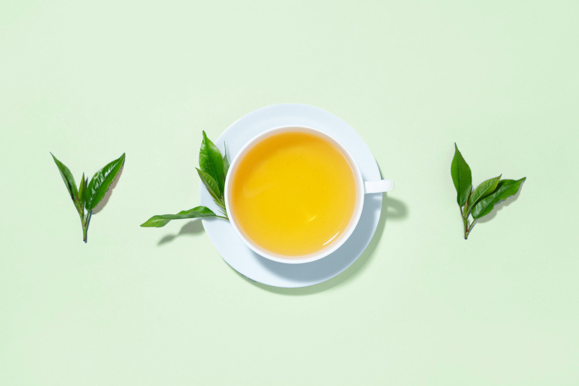 Image of PERLE IMPERIALE - Pai Mu Tan White Tea Leaves - Loose leaf tea-3