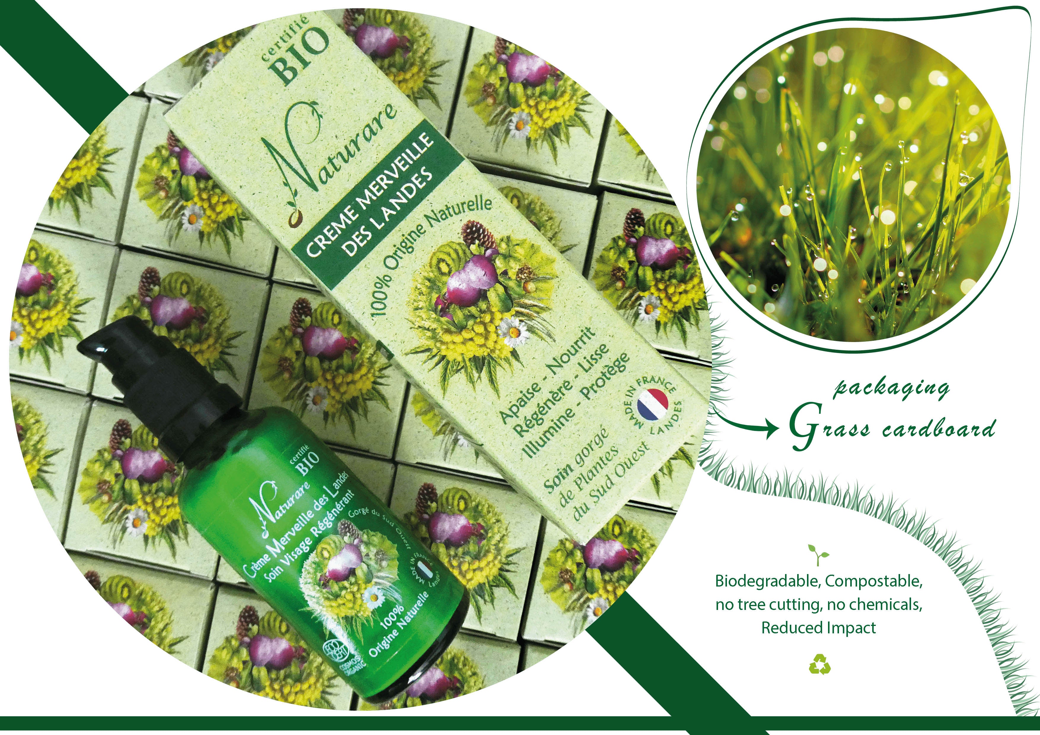 Image of MERVEILLE DES LANDES ORGANIC - Sensitive Skin Care Complete Regeneration Face-8
