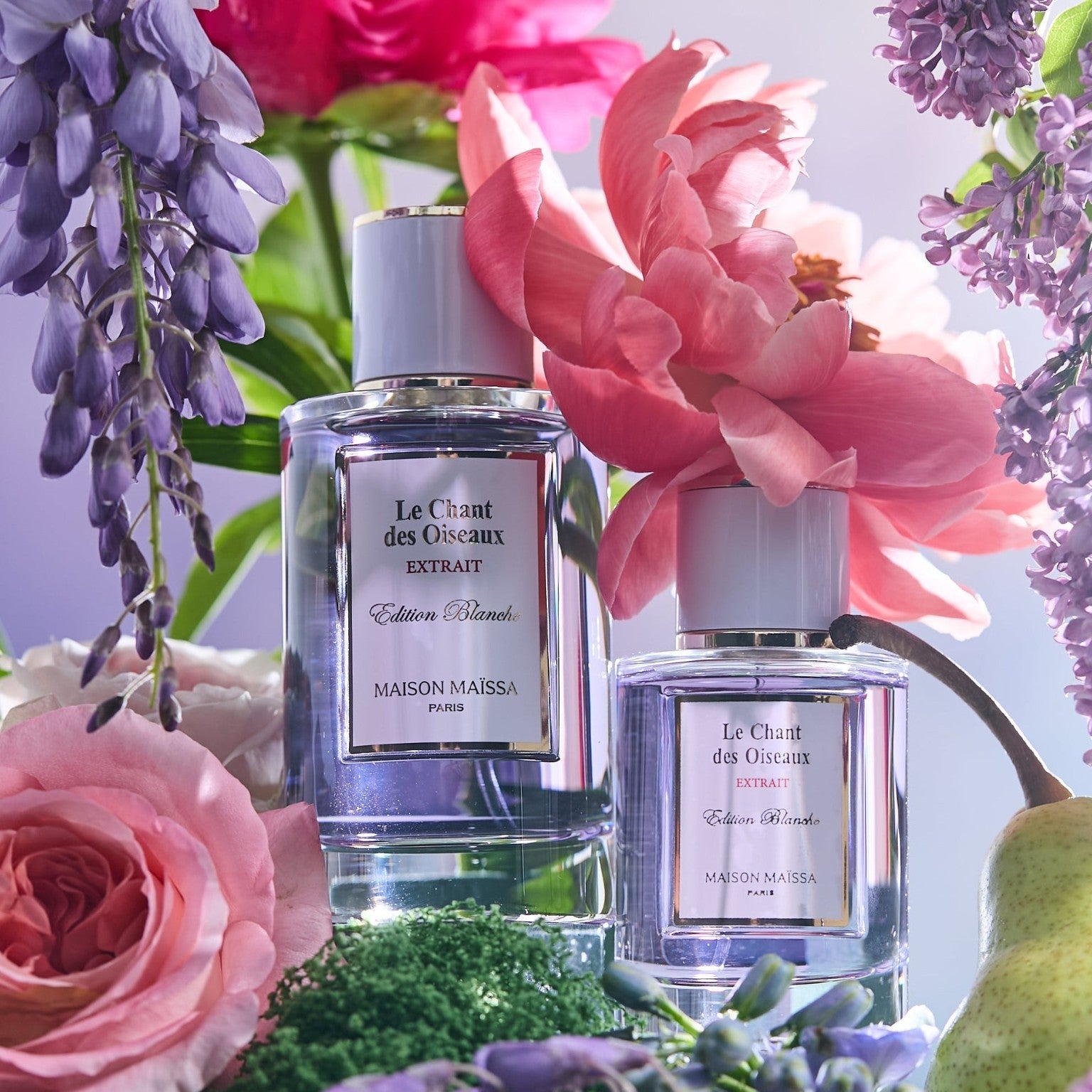 Image of Le Chant des Oiseaux Extrait by Maison Maïssa 50ml-2