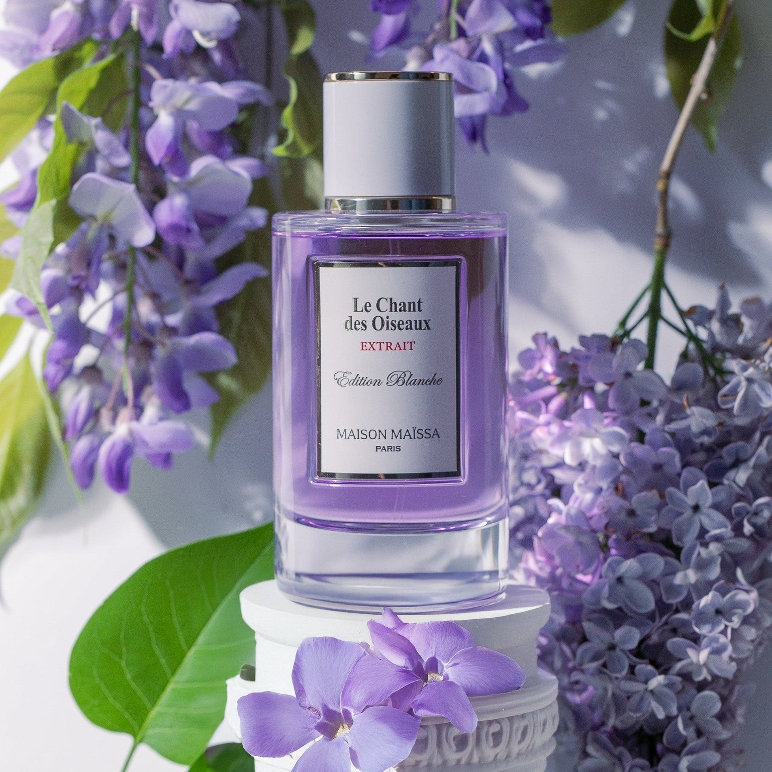 Image of Le Chant des Oiseaux Extrait by Maison Maïssa 50ml-1