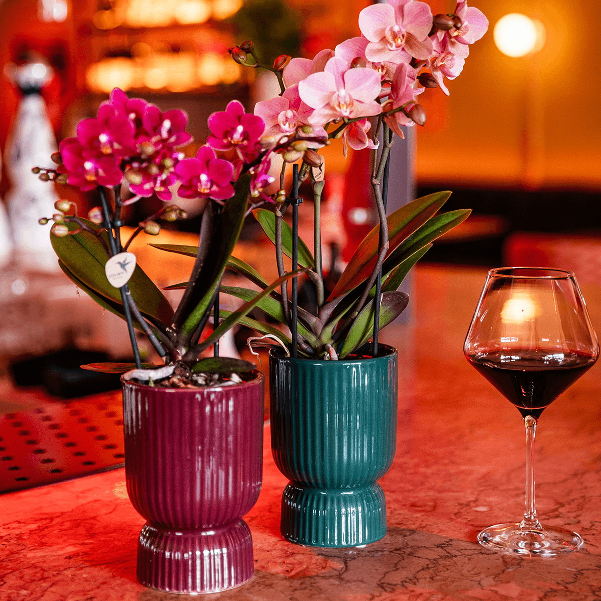 Image of Diabolo Ziertopf Ø9cm – Blumentopf in Burgundy – Keramik – Übertopf mit Rillenstruktur & glänzender Oberfläche-1