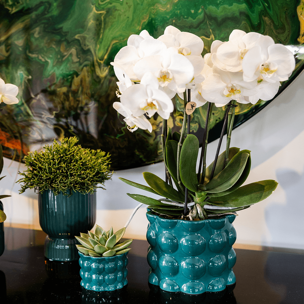 Image of Ziertopf Diabolo – Grün – Ø9cm – Keramiktopf mit Rillenstruktur & abgerundetem Fuß – Blumentopf für Orchideen & Zimmerpflanzen-1