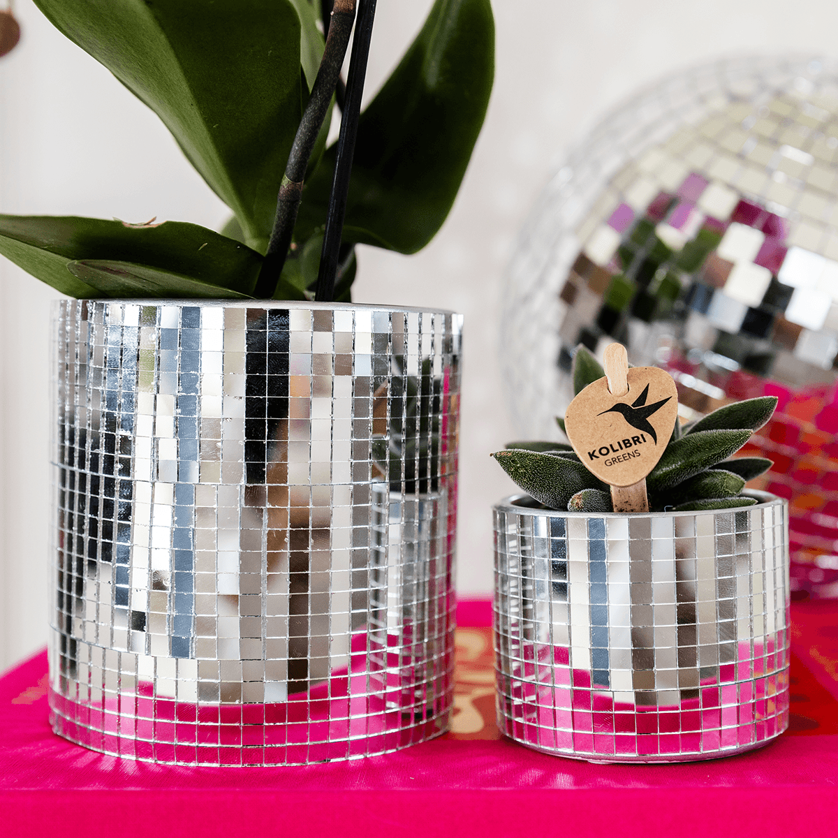Image of Blumentopf Disco – Ø6cm – Kleiner Keramik Ziertopf mit glänzender Struktur – Moderner Übertopf für Mini – Zimmerpflanzen, Sukkulenten & Kakteen-4