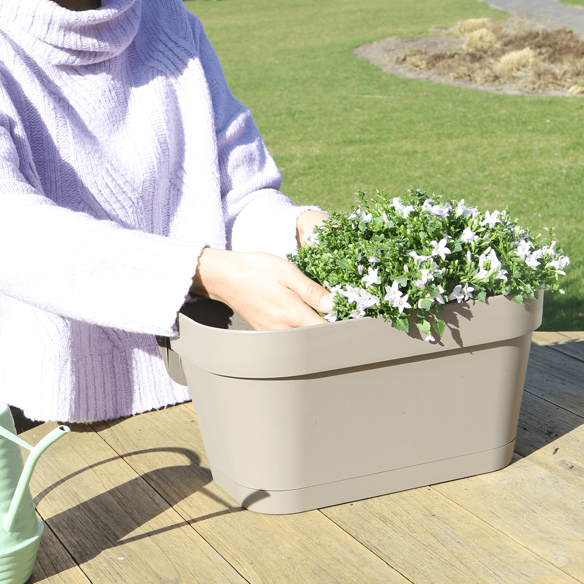 Image of Campanula Addenda Ambella weiß 3er Set mit Balkonpflanzer taupe 36cm – Glockenblume weiß 12cm – inkl Aufhängesystem & Wasserreservoir-2
