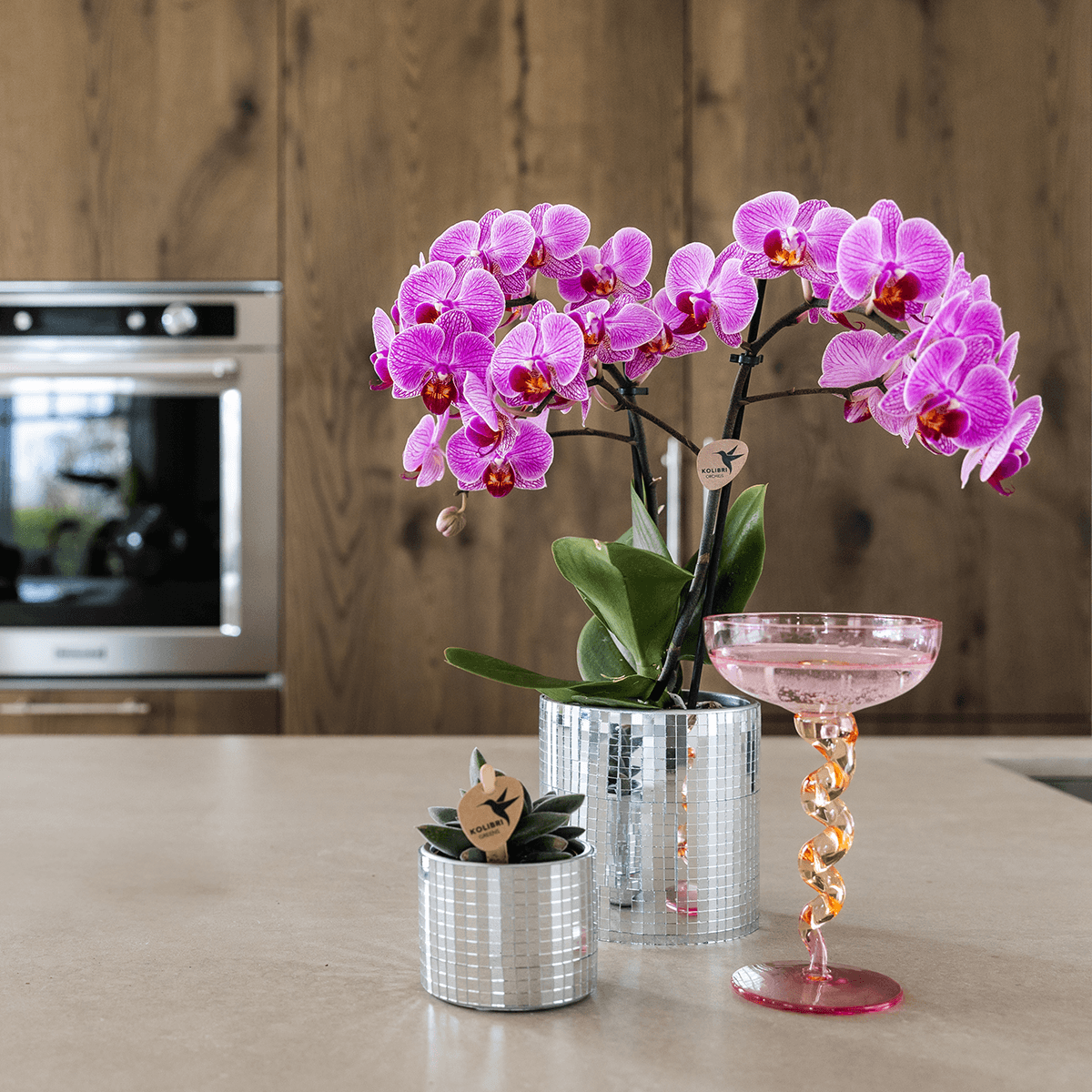 Image of Blumentopf Disco – Ø6cm – Kleiner Keramik Ziertopf mit glänzender Struktur – Moderner Übertopf für Mini – Zimmerpflanzen, Sukkulenten & Kakteen-1