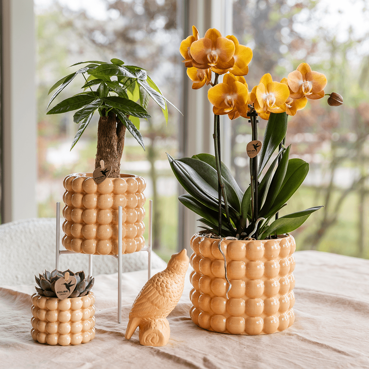 Image of Ziertopf Poppy – Peach – Ø9cm – Moderner Keramik Blumentopf in glänzendem Pfirsichton – Stilvoller Übertopf für Zimmerpflanzen, Sukkulenten & Orchideen-2