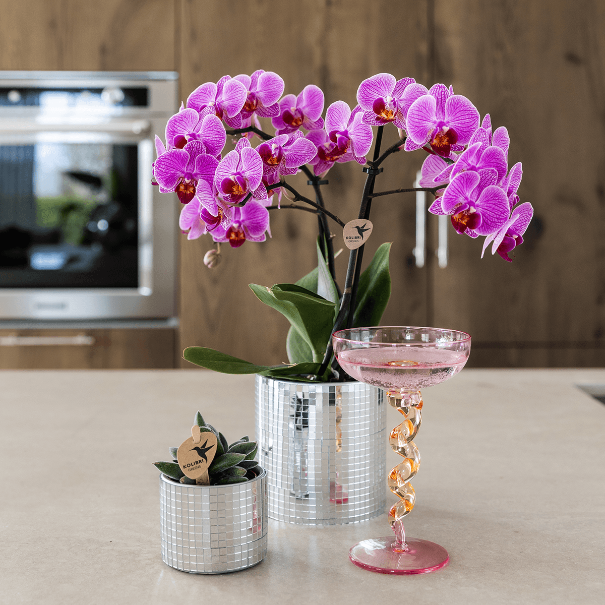 Image of Blumentopf Disco – Ø9cm – Moderner Keramik Ziertopf mit glänzender Struktur – Stilvoller Übertopf für kleine Zimmerpflanzen, Sukkulenten & Kakteen-2