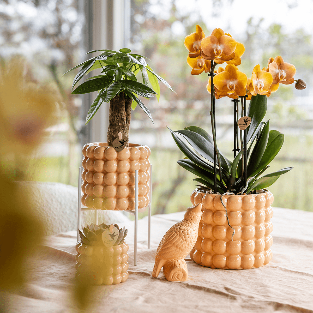 Image of Ziertopf Poppy – Peach – Ø6cm – Kleiner Keramik Blumentopf in glänzendem Pfirsichton – Stilvoller Übertopf für Mini-Zimmerpflanzen, Sukkulenten & Kakteen-1