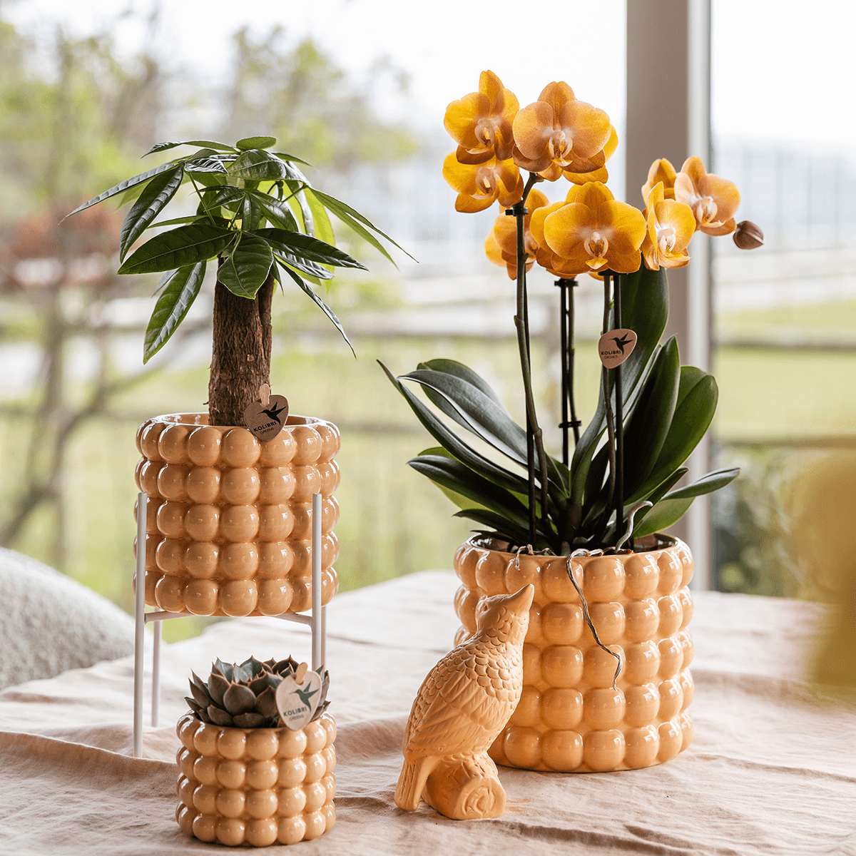 Image of Ziertopf Poppy – Peach – Ø6cm – Kleiner Keramik Blumentopf in glänzendem Pfirsichton – Stilvoller Übertopf für Mini-Zimmerpflanzen, Sukkulenten & Kakteen-3