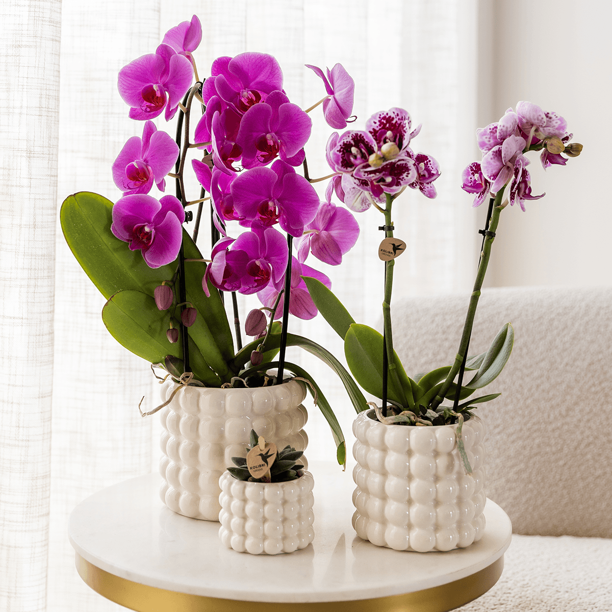 Image of Poppy Pflanztopf – Weiß – Ø9cm – Dekorativer Blumentopf in Keramikoptik – Moderner Übertopf für Zimmerpflanzen & Orchideen – Stilvolles Wohnaccessoire-2
