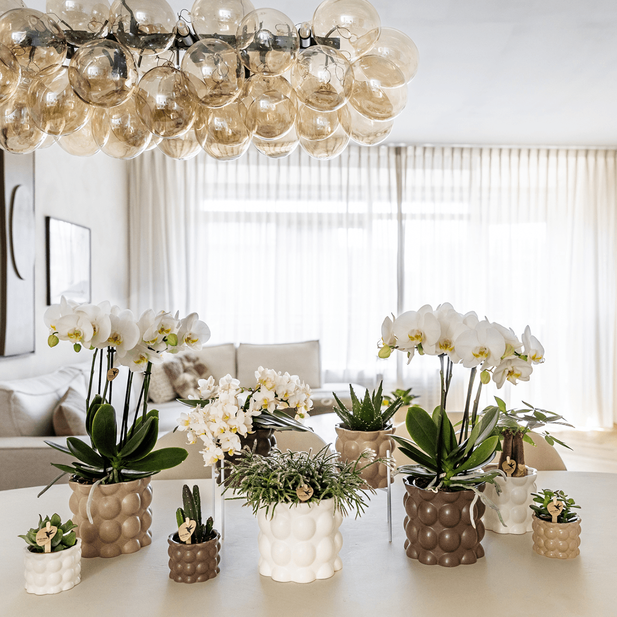 Image of Ziertopf Cotton – Weiß – Ø6cm – Blumentopf mit matter Oberfläche – Pflanztopf aus der Slow Living Kollektion – Für kleine Pflanzen & Orchideen-1