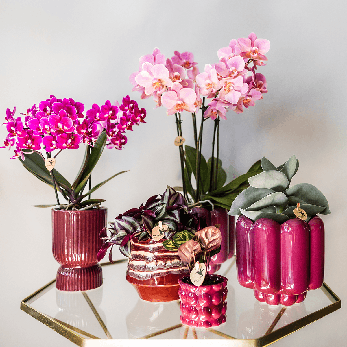 Image of Diabolo Ziertopf Ø9cm – Blumentopf in Burgundy – Keramik – Übertopf mit Rillenstruktur & glänzender Oberfläche-4