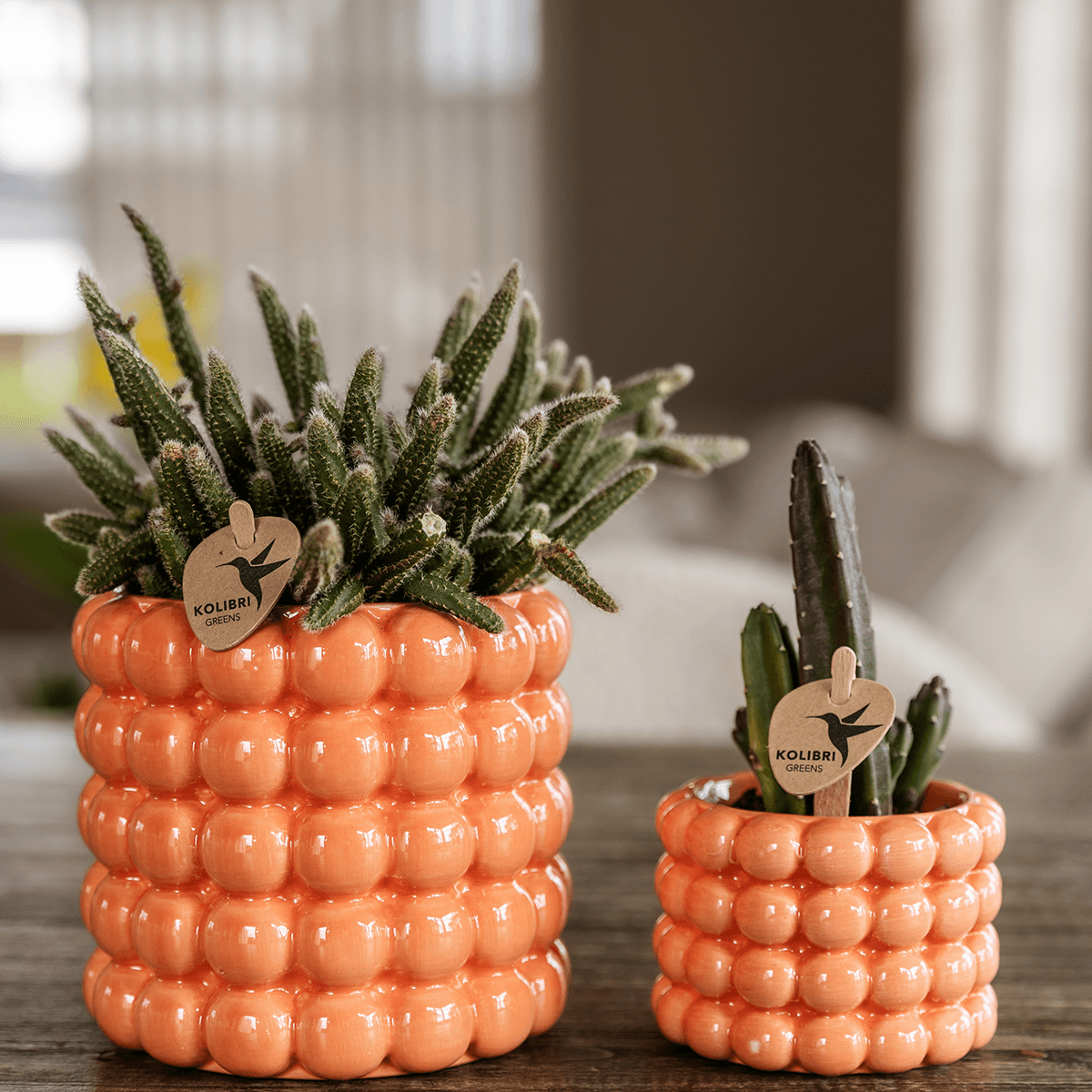 Image of Poppy Pflanztopf – Orange – Ø6cm – Dekorativer Mini-Übertopf in Keramikoptik – Moderner Blumentopf für kleine Zimmerpflanzen & Sukkulenten-2