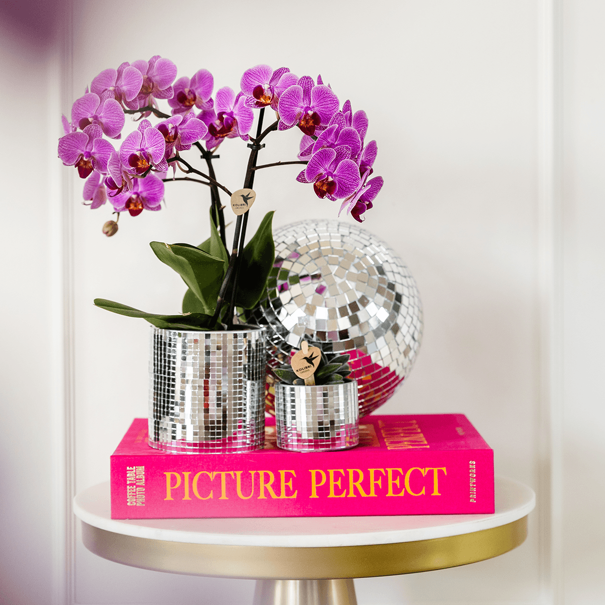 Image of Blumentopf Disco – Ø6cm – Kleiner Keramik Ziertopf mit glänzender Struktur – Moderner Übertopf für Mini – Zimmerpflanzen, Sukkulenten & Kakteen-2