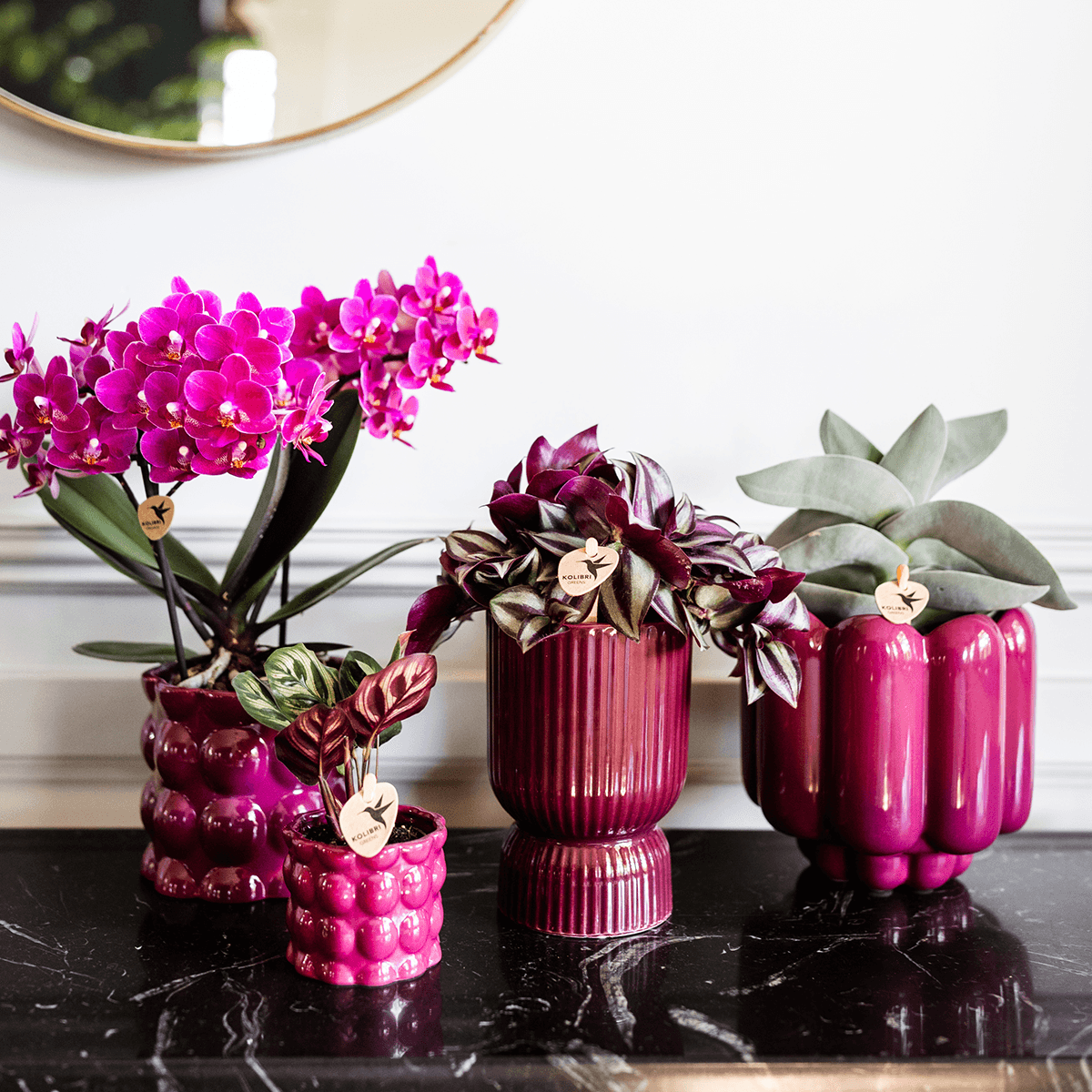 Image of Diabolo Ziertopf Ø9cm – Blumentopf in Burgundy – Keramik – Übertopf mit Rillenstruktur & glänzender Oberfläche-2