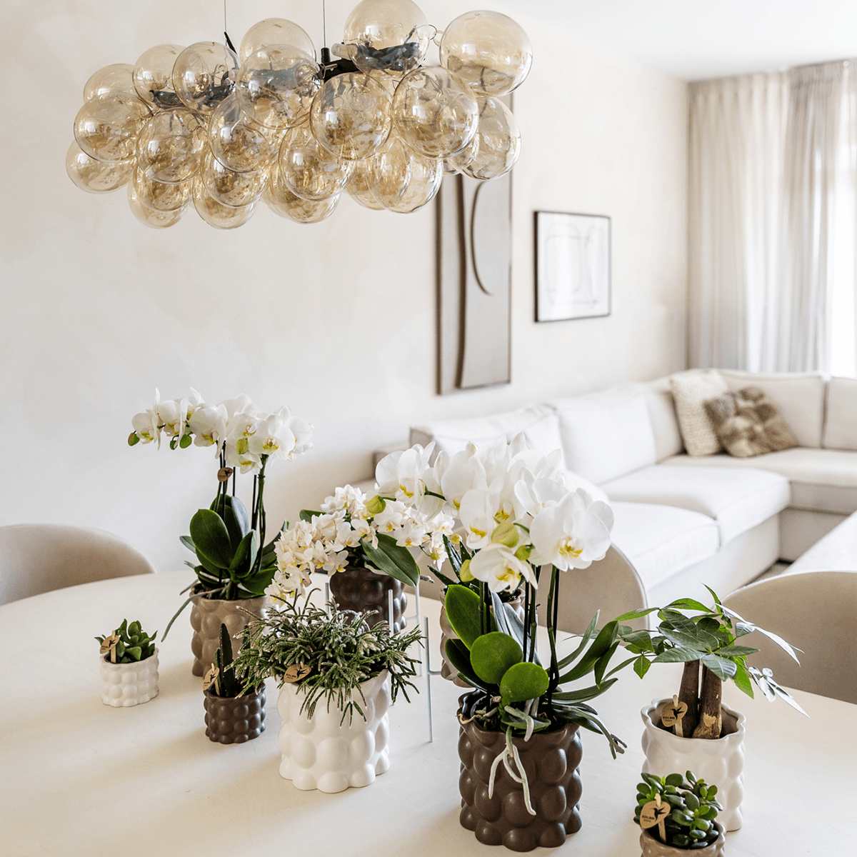 Image of Ziertopf Cotton – Weiß – Ø6cm – Blumentopf mit matter Oberfläche – Pflanztopf aus der Slow Living Kollektion – Für kleine Pflanzen & Orchideen-2