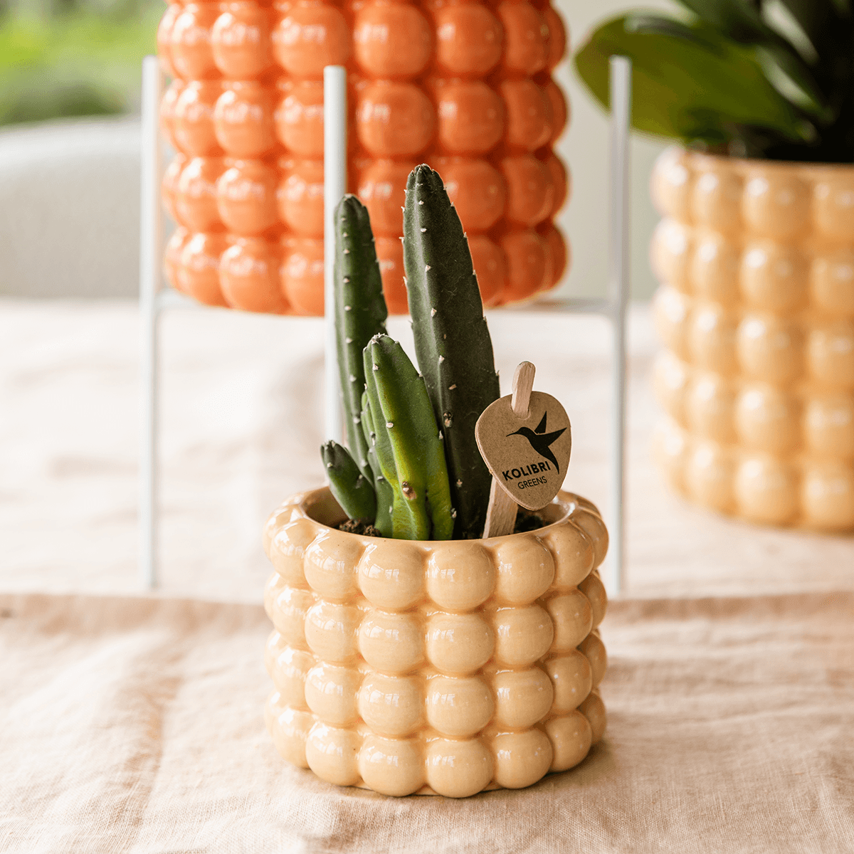 Image of Ziertopf Poppy – Peach – Ø6cm – Kleiner Keramik Blumentopf in glänzendem Pfirsichton – Stilvoller Übertopf für Mini-Zimmerpflanzen, Sukkulenten & Kakteen-4