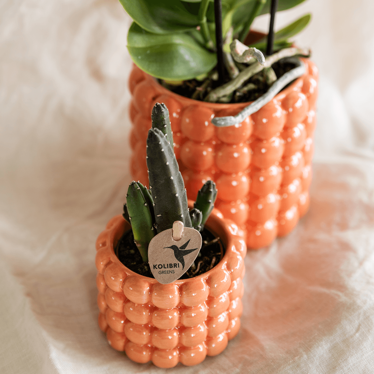 Image of Poppy Pflanztopf – Orange – Ø6cm – Dekorativer Mini-Übertopf in Keramikoptik – Moderner Blumentopf für kleine Zimmerpflanzen & Sukkulenten-1